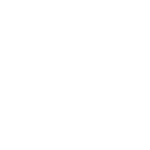 reinsurer